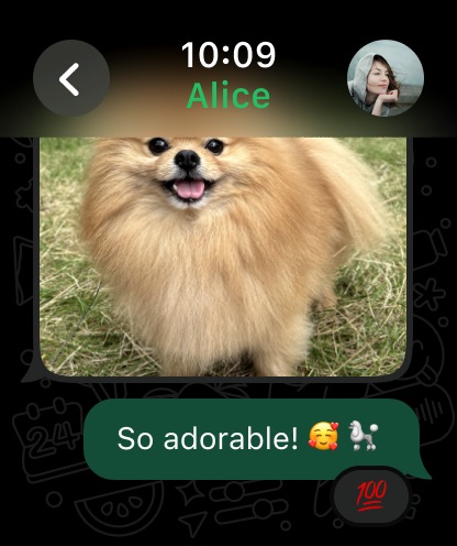 Apple Watch screenshot